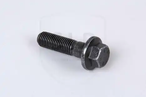 FLANGE SCREW SKR-8297 SLP