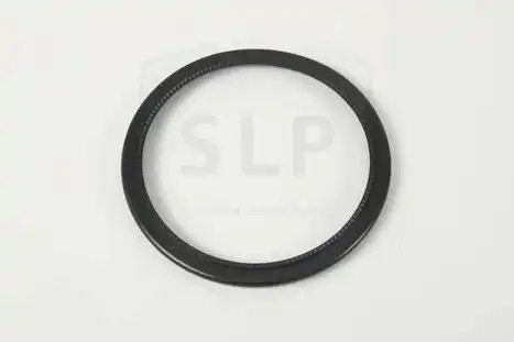 SEALING RING RS-577 SLP