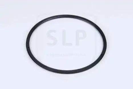 OIL SEAL RS-066 SLP