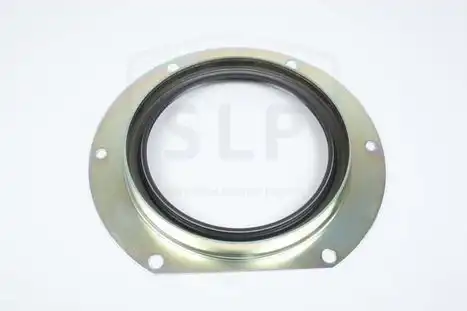 SEALING RING PB-863 SLP