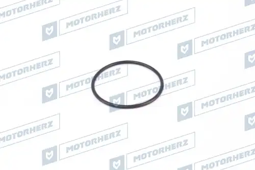 Кольцо рулевой рейки !d36x2.05 \ HR0332 MOTORHERZ