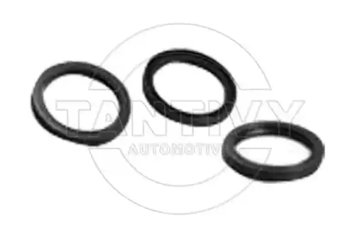 Сальник диференциала 48043 VIKA