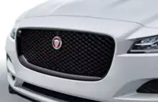 Решетка радиатора JAGUAR T4A6211