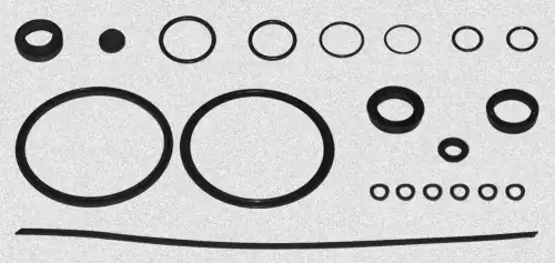 3010g may