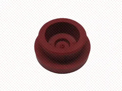PLUG 10.02.26 ONYARBI
