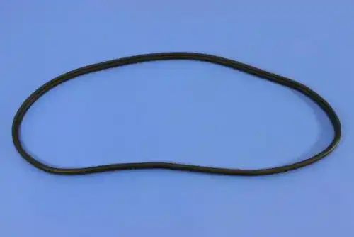 Уплотнитель двери CHRYSLER 55399255AE