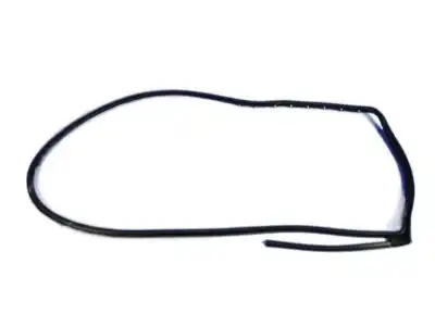 Уплотнитель двери CHRYSLER 55399215AE