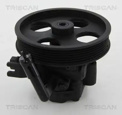 Насос гидроусилителя руля TRISCAN 851518612