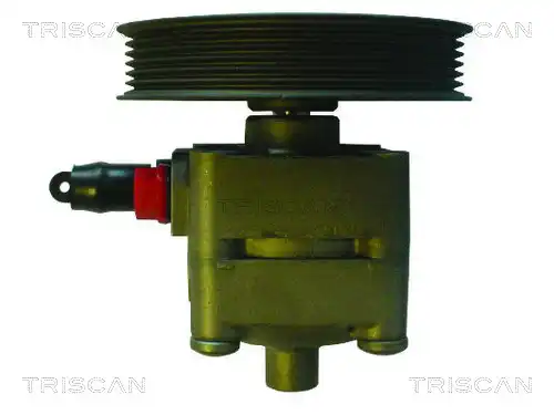 Насос гидроусилителя руля TRISCAN 851527628