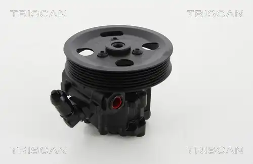 Насос гидроусилителя руля TRISCAN 851517600