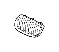 Решетка радиатора BMW 51137254972
