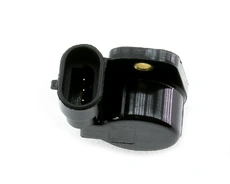 RE77001206371 DOMINANT