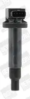Ignition Coil ZSE165 BERU