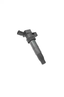 Ignition Coil ZS548 BERU