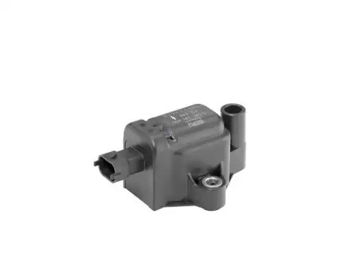 Ignition Coil ZS439 BERU