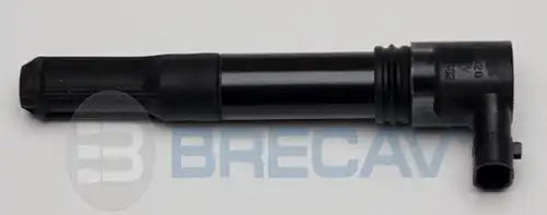 Ignition Coil 106.002 BRECAV