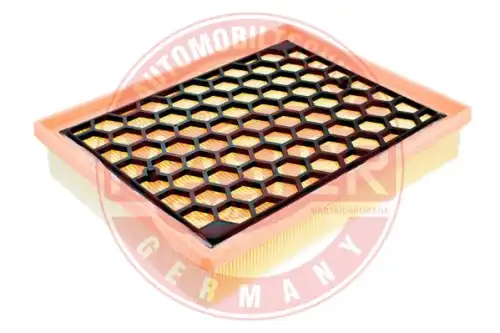 Фильтр воздушный MASTER-SPORT 30170/1-LF-PCS-MS