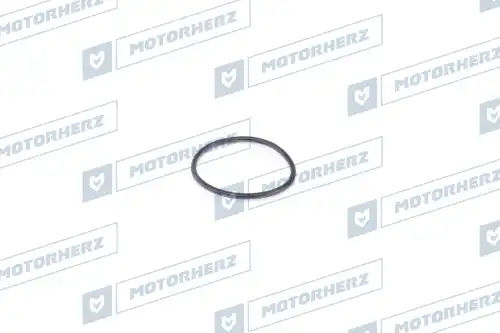 Кольцо рулевой рейки HR0030 MOTORHERZ