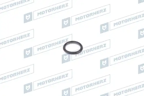 Кольцо рулевой рейки !2.70/15 \ HR0078 MOTORHERZ