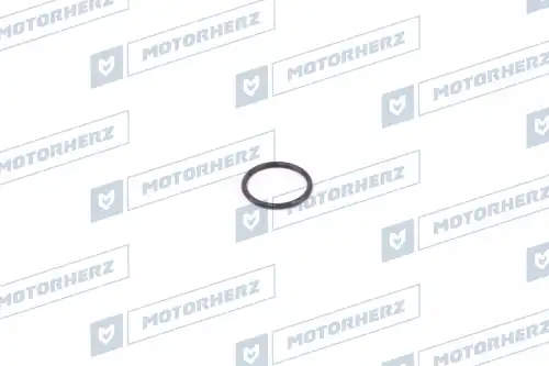 Кольцо рулевой рейки !d15x1.55 \ HR0276 MOTORHERZ