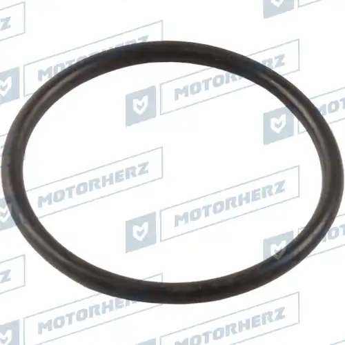 Кольцо рулевой рейки !d26x2.05 \ HR0322 MOTORHERZ