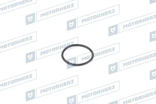 Кольцо рулевой рейки !d27x2.05 \ HR0358 MOTORHERZ