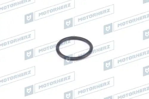 Кольцо рулевой рейки HR0360 MOTORHERZ