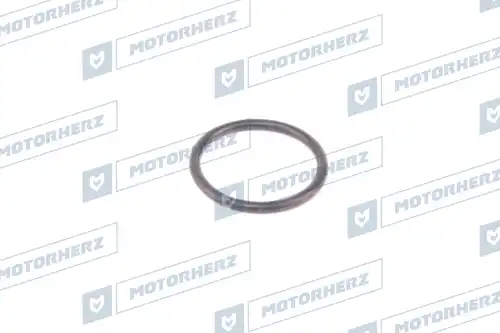 Кольцо рулевой рейки HR0402 MOTORHERZ