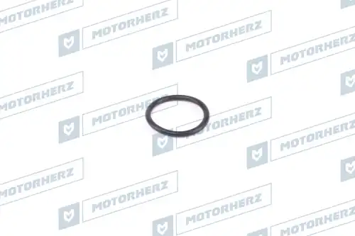 Eieuoi oeaaie aeee HR0418 MOTORHERZ