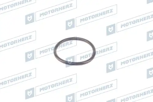 Кольцо рулевой рейки !3.05/34 \ HR0472 MOTORHERZ
