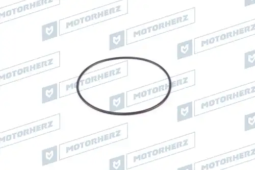 Кольцо рулевой рейки HR0299 MOTORHERZ