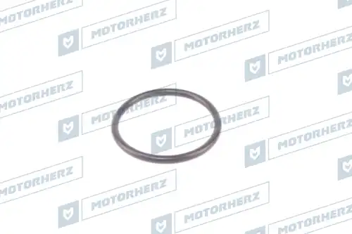 Кольцо рулевой рейки HR0473A MOTORHERZ
