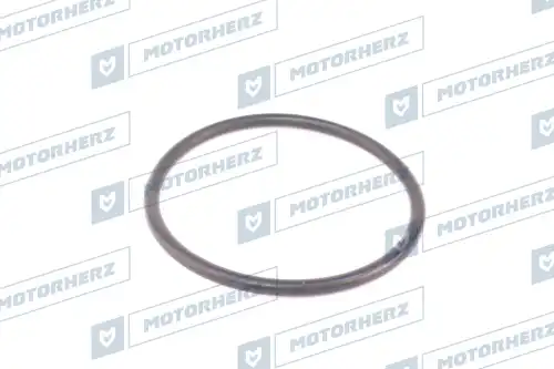 Кольцо рулевой рейки HR0552 MOTORHERZ