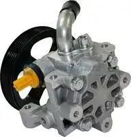 Насос гидроусилителя руля MOTORHERZ P1247HG