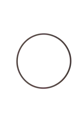 O-ring 1728 5681 FIAT