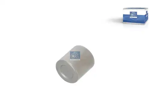 подшипник КПП игольчатый DAF 6.45120 DT