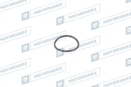 HR0355 Кольцо рулевой рейки MOTORHERZ