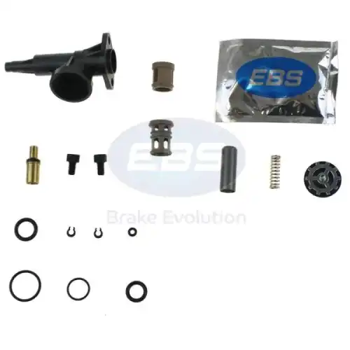 Р/К ПГУ RVI EBS EKKO2522A