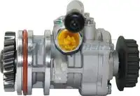 Насос гидроусилителя руля MOTORHERZ P1038HG