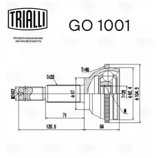 ШРУС наружный TRIALLI GO 1001