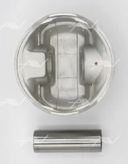 ПОРШЕНЬ X20XEV (86,00) +0,5 PN53001 AUTOWELT