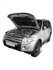 Амортизатор капота RIVAL A.ST.4004.1