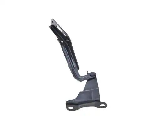 HD21081AR Петля капота прав. TYG