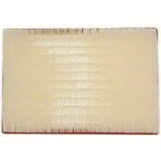 LX 2923