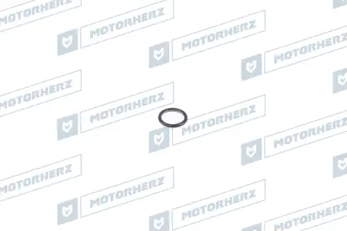 Кольцо рулевой рейки HR0268 MOTORHERZ