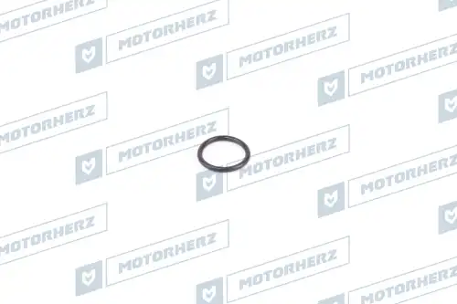 Кольцо рулевой рейки !d14x1.78 \ HR0024 MOTORHERZ
