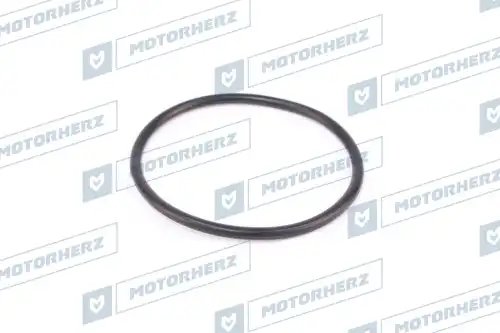 Кольцо рулевой рейки !d61.91x3.6 \ HR0171 MOTORHERZ