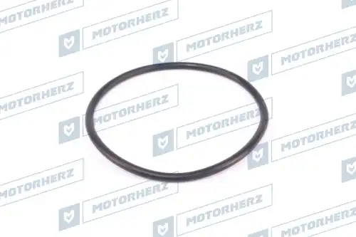 Кольцо рулевой рейки HR0179 MOTORHERZ