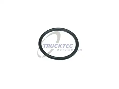 1507:.229 Seal! \BMW 0810093 TRUCKTEC