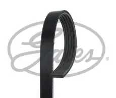 GATES 5PK855 855 мм